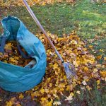 المحافظة على المنظر العام والتخلص من جميع المخلفات