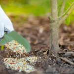 تسميد جميع المزروعات